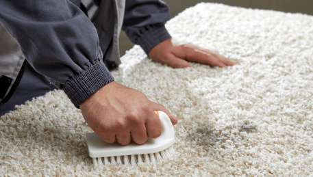 Professional Rug Cleaning Leopold